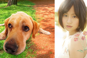 大の犬好き、前田敦子が『LOVE　まさお君が行く！』主題歌を担当！ 画像