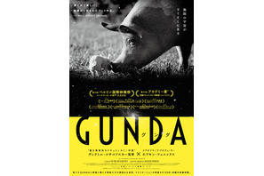 動物たちの暮らし覗く…全編音楽・ナレーション無しのモノクローム映像で構成された映画『GUNDA』予告編公開 画像