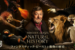 『ファンタビ』魔法動物の裏側に迫るドキュメンタリーU-NEXT配信 画像