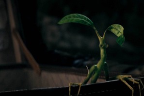 ニュートの相棒ピケットら魔法動物たちが大活躍『ファンタビ』本編映像 画像