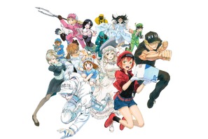 「はたらく細胞」実写映画化決定 『翔んで埼玉』コンビが再タッグ 画像