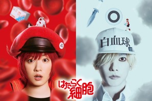 永野芽郁＆佐藤健、実写『はたらく細胞』キャラクタービジュアル＆超特報公開 画像