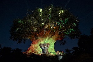【海外ディズニー】アニマルキングダムのナイトショーが『ライオン・キング：ムファサ』バージョンに！フロリダ WDW 画像
