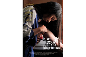 フーリッシュ・バード