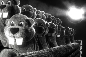 躍進するYouTube出身監督！注目作をピックアップ『フィーバー Beaver』『ブリング・ハー・バック』ほか 画像