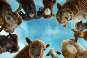 ヒュー・ジャックマン主演の新感覚ミステリー『ひつじ探偵団』もふもふカット公開！ 画像