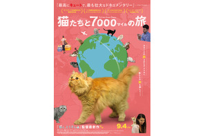 猫たちと7000マイルの旅