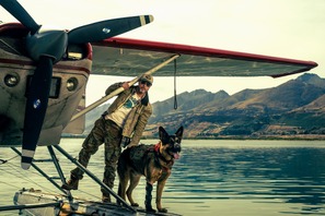 ブラッド・ピット主演、退役軍人と愛犬“バディ”のサバイバル描く『ハート・オブ・ビースト』9月全世界同時公開 ティザー予告解禁 画像