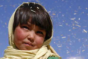 アフガンの声なき声に耳を！　ユニセフが『子供の情景』試写会の参加者を募集 画像