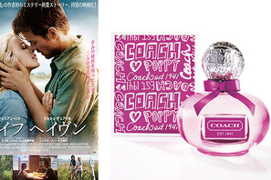 「COACH」、オトナ女子に贈る映画『セイフ ヘイヴン』とコラボ 画像