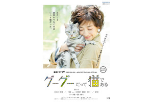 UA、宮沢りえ主演・連続ドラマ「グーグーだって猫である」に楽曲提供 画像