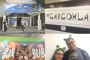【ハリウッドより愛を込めて】猫好き大集合！ “キャット・コンLA”とは…？ 画像