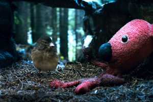 【特別映像】『クーキー』パペットのピンチを救ったのは…“鳥”!? 画像