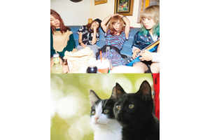 風間俊介主演『猫よん。』主題歌を「SCANDAL」が書き下ろし! 画像