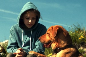 「犬の日」記念！犬だらけの冒頭映像解禁『ホワイト・ゴッド 少女と犬の狂詩曲』 画像