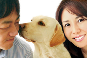 ペットを飼いたくなる!?　『犬とあなたの物語』で検証、“犬”と“人”の関係 画像