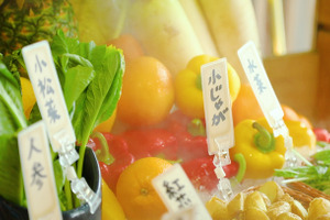 野菜不足を一気に解消！ ランチタイムは新鮮野菜を思いっきり堪能 画像