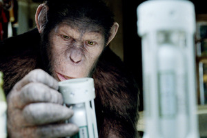 邦題決定『猿の惑星：創世記』　猿が試験管を握る衝撃の画像が解禁！ 画像