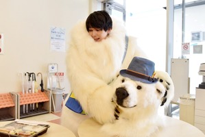 吉沢亮、波瑠主演「サバイバル・ウェディング」まさかの“着ぐるみ姿”で撮入 画像