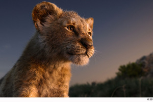 “シンバ”ドナルド・グローヴァーのアフレコ公開『ライオン・キング』 画像