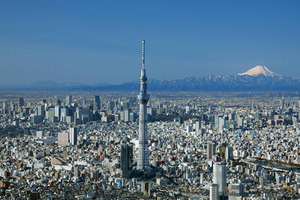 東京スカイツリーが早くも映画化！　2羽のハト目線で、その秘密に迫る 画像