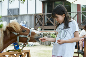 新津ちせのキュートなオフショット！水川あさみも思わずニッコリ『喜劇 愛妻物語』 画像