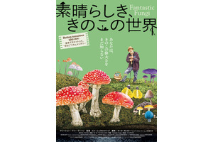 “きのこ”の驚異に迫るドキュメンタリー『素晴らしき、きのこの世界』Blu-ray＆DVD3月25日発売 画像