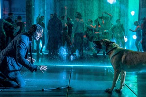 『ジョン・ウィック：コンセクエンス』公開日が9月22日に決定　愛犬の日特別映像も解禁 画像