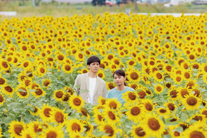 生田斗真＆尾野真千子、満開のひまわり畑に佇む『渇水』場面写真 画像