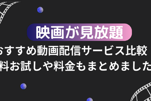 映画が見放題のおすすめ動画配信サービス16選を比較！無料お試しや料金もまとめました！ 画像