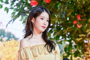 『おつかれさま』大ブームの中で甦ってきたIU＆名監督の「7年前の名作」 画像