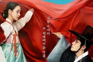 連休中にイッキ見したいなら絶対に『オク氏夫人伝』を勧める理由 画像