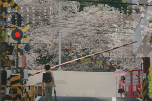 松村北斗主演『秒速5センチメートル』初映像 上田悠斗＆白山乃愛の出演も明らかに 画像