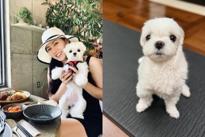 『愛の不時着』ソン・イェジン、愛犬とのささやかな日常に“ほっこり”。「おやつも食べたのに…」【PHOTO】 画像