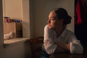 サスペンスの先に、温かな涙が待っている――アマンダ・サイフリッド主演「ロング・ブライト・リバー」はこの夏の“イッキ見”本命！ 画像