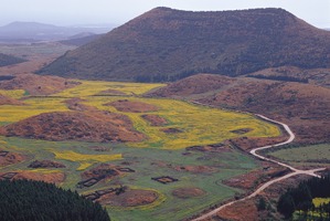 「ロケ地名所」済州島の景観を代表するオルムとは何か 画像