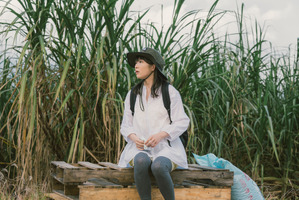 伊藤沙莉主演『風のマジム』広大なサトウキビ畑で迷子に!? 本編映像到着 画像