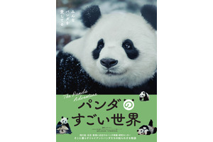 パンダのすごい世界