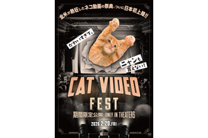 CatVideoFest