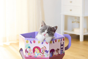 猫がすっぽり入る！映画『ふしぎの国のアリス』デザインの「ティーカップ型の猫の爪とぎ」1月26日販売開始 画像