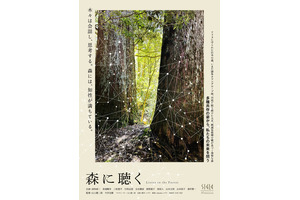 森に聴くListen to the Forest