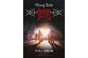 Stray Kids : The dominATE Experience