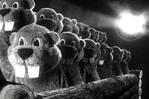 躍進するYouTube出身監督！注目作をピックアップ『フィーバー Beaver』『ブリング・ハー・バック』ほか 画像