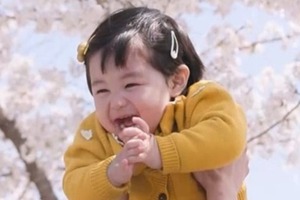 韓国で最も有名な赤ちゃんハルくん、その人気は芸能人の父親以上であることが判明【PHOTO】 画像