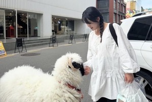 6月に出産予定の『太陽を抱く月』女優ナム・ボラ、道で出会った羊との2ショットを公開【PHOTO】 画像