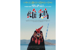 雌鶏