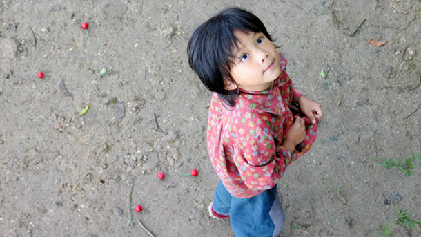 さくらんぼ　母ときた道