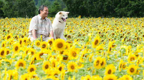 星守る犬
