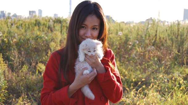 コネコノキモチ