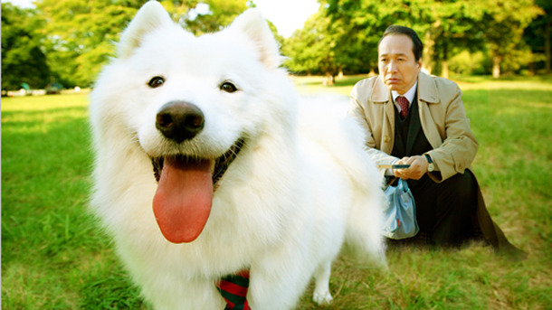 犬飼さんちの犬』作品情報 | cinemacafe.net